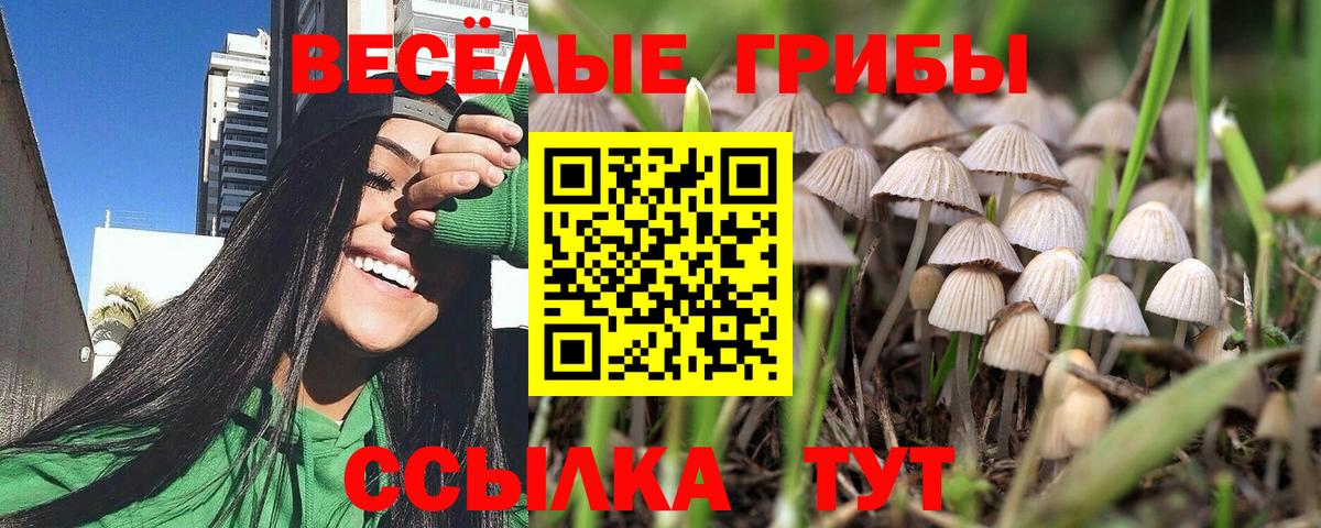 Псилоцибиновые грибы Magic Shrooms  Вход с VPN  Елабуга 