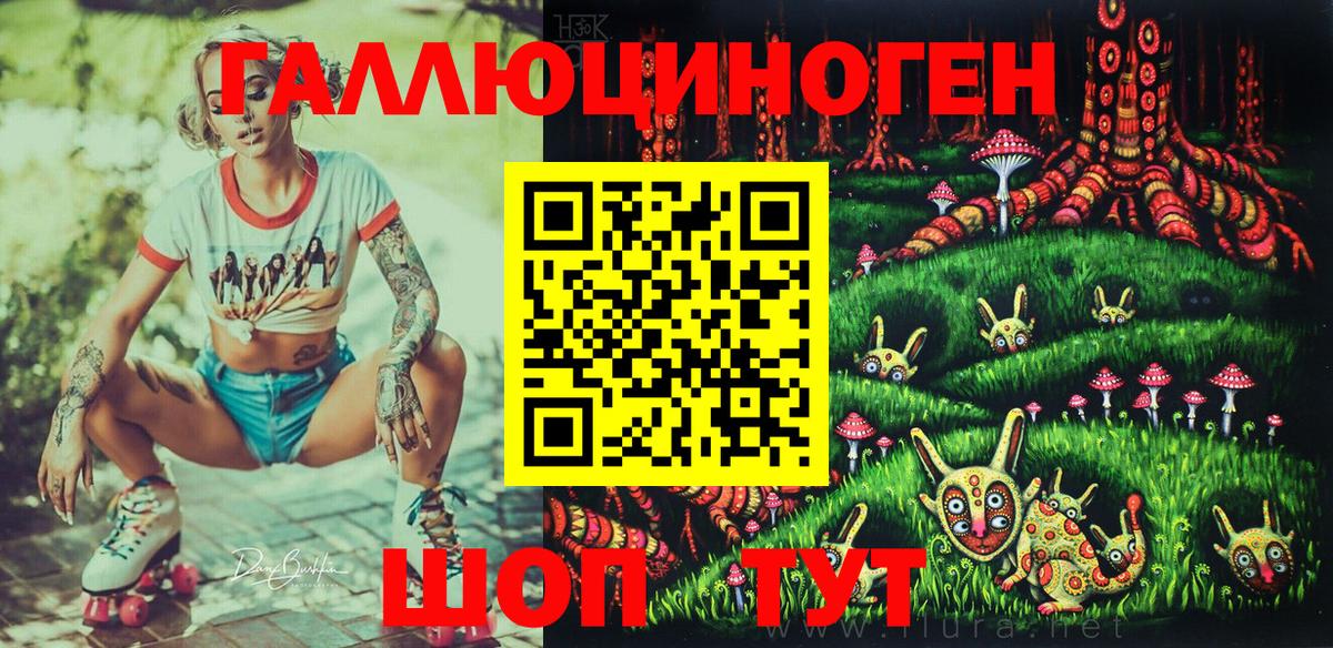 Галлюциногенные грибы Psilocybine cubensis Елабуга
